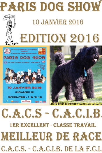 JOHN ROSS Paris dog show Bouvier des flandres du clos de la Luette © copyright